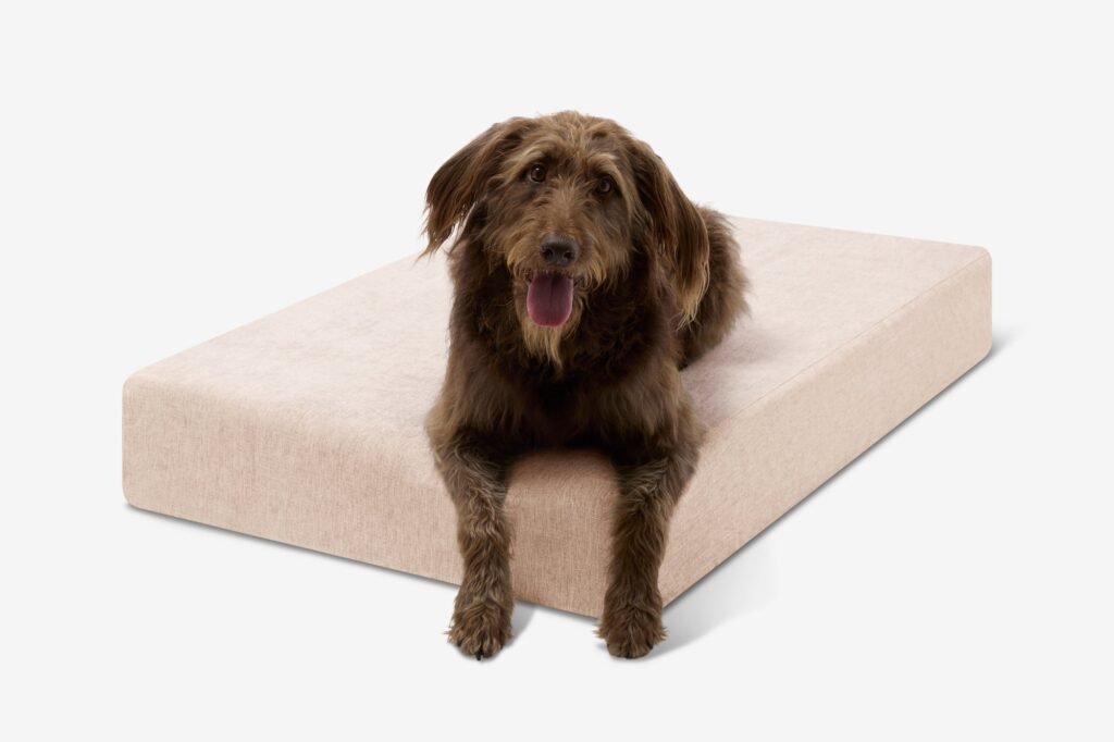 Big Barker Original Orthopedic Dog Bed