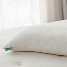 Avocado Green Pillow